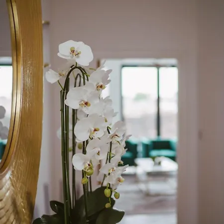 11 Penthouse 2 Bedrooms, Sleeps 4 度假居 *